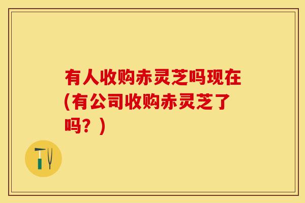 有人收购赤灵芝吗现在(有公司收购赤灵芝了吗？)
