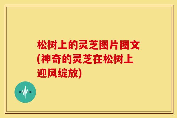 松树上的灵芝图片图文(神奇的灵芝在松树上迎风绽放) 松树上的灵芝图片图文(神奇的灵芝在松树上迎风绽放)