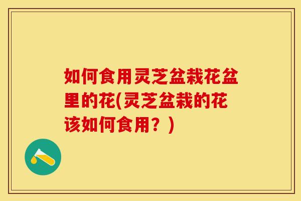 如何食用灵芝盆栽花盆里的花(灵芝盆栽的花该如何食用？)
