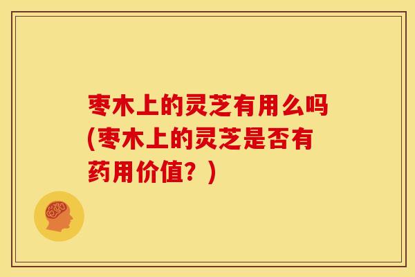 枣木上的灵芝有用么吗(枣木上的灵芝是否有药用价值？)
