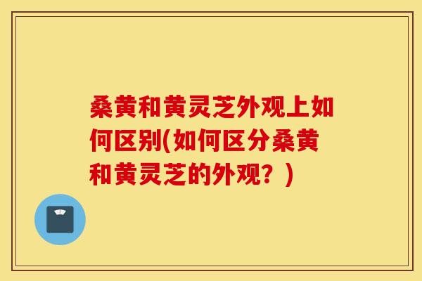 桑黄和黄灵芝外观上如何区别(如何区分桑黄和黄灵芝的外观？)