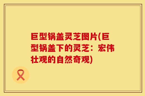 巨型锅盖灵芝图片(巨型锅盖下的灵芝：宏伟壮观的自然奇观)