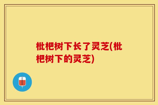 枇杷树下长了灵芝(枇杷树下的灵芝)