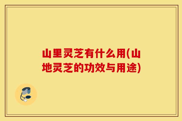 山里灵芝有什么用(山地灵芝的功效与用途)