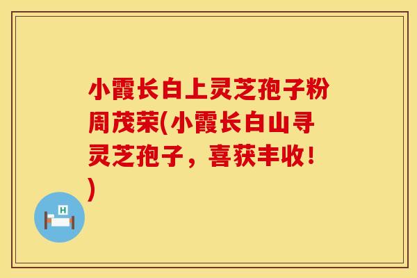 小霞长白上灵芝孢子粉周茂荣(小霞长白山寻灵芝孢子，喜获丰收！)