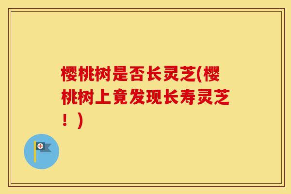 樱桃树是否长灵芝(樱桃树上竟发现长寿灵芝！)