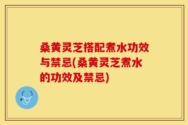桑黄灵芝搭配煮水功效与禁忌(桑黄灵芝煮水的功效及禁忌)