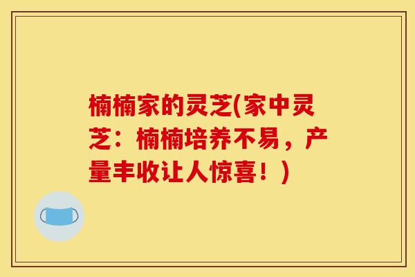 楠楠家的灵芝(家中灵芝：楠楠培养不易，产量丰收让人惊喜！)