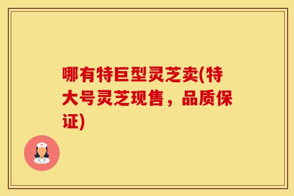哪有特巨型灵芝卖(特大号灵芝现售，品质保证)