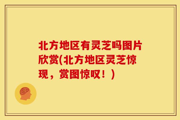 北方地区有灵芝吗图片欣赏(北方地区灵芝惊现，赏图惊叹！)