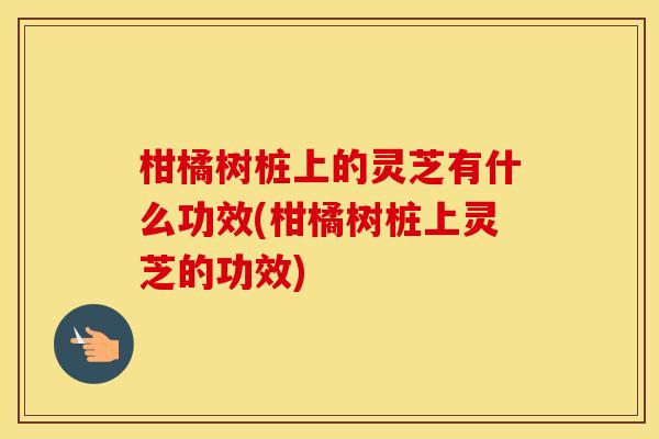 柑橘树桩上的灵芝有什么功效(柑橘树桩上灵芝的功效)