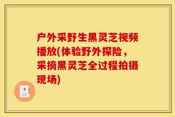 户外采野生黑灵芝视频播放(体验野外探险，采摘黑灵芝全过程拍摄现场)