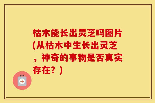 枯木能长出灵芝吗图片(从枯木中生长出灵芝，神奇的事物是否真实存在？)