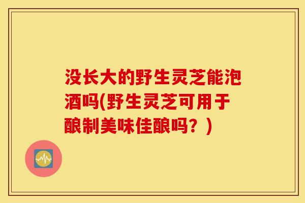没长大的野生灵芝能泡酒吗(野生灵芝可用于酿制美味佳酿吗？)
