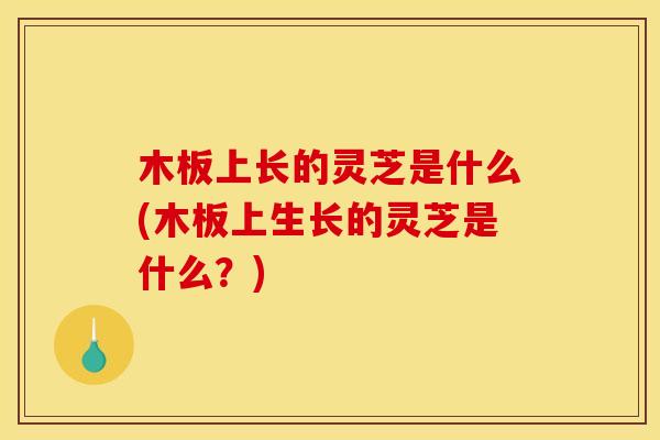 木板上长的灵芝是什么(木板上生长的灵芝是什么？)