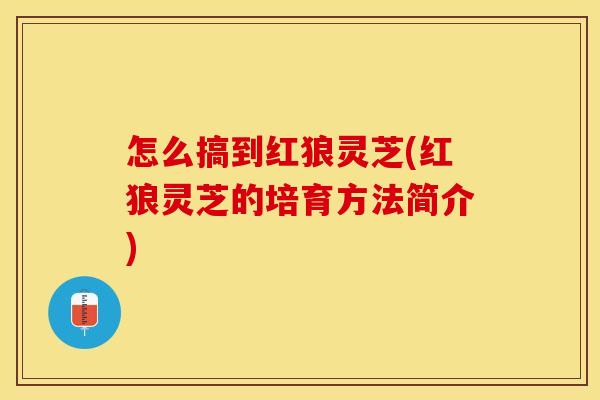 怎么搞到红狼灵芝(红狼灵芝的培育方法简介)
