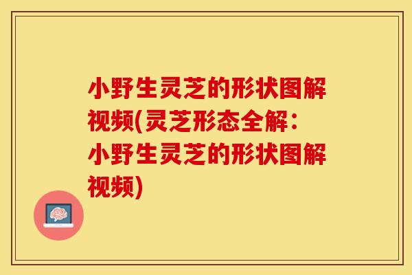 小野生灵芝的形状图解视频(灵芝形态全解:小野生灵芝的形状图解视频) 小野生灵芝的形状图解视频(灵芝形态全解:小野生灵芝的形状图解视频)