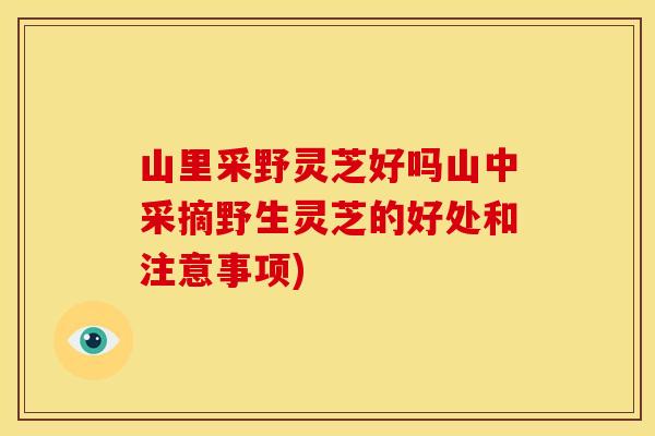 山里采野灵芝好吗山中采摘野生灵芝的好处和注意事项)