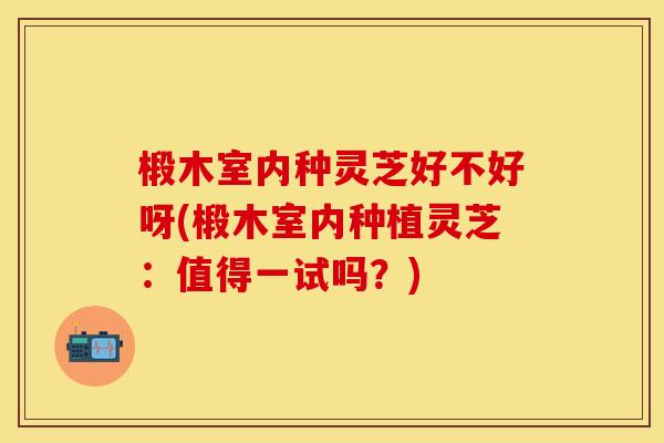 椴木室内种灵芝好不好呀(椴木室内种植灵芝:值得一试吗?) 椴木室内种灵芝好不好呀(椴木室内种植灵芝:值得一试吗?)