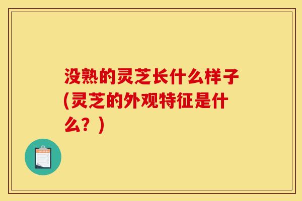 没熟的灵芝长什么样子(灵芝的外观特征是什么？)
