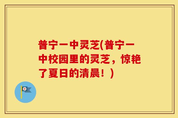 普宁一中灵芝(普宁一中校园里的灵芝，惊艳了夏日的清晨！)