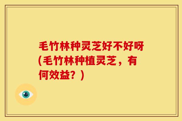 毛竹林种灵芝好不好呀(毛竹林种植灵芝，有何效益？)