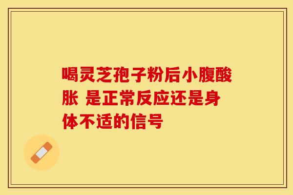 喝灵芝孢子粉后小腹酸胀 是正常反应还是身体不适的信号