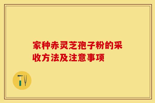 家种赤灵芝孢子粉的采收方法及注意事项