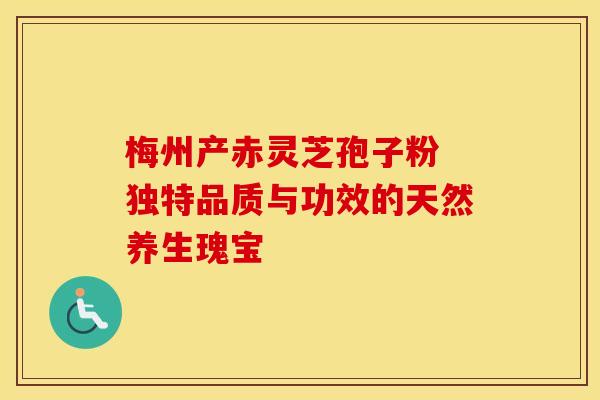 梅州产赤灵芝孢子粉 独特品质与功效的天然养生瑰宝