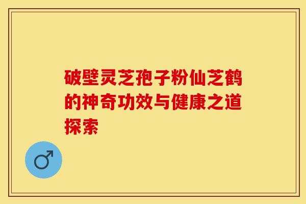 破壁灵芝孢子粉仙芝鹤的神奇功效与健康之道探索 破壁灵芝孢子粉仙芝鹤的神奇功效与健康之道探索