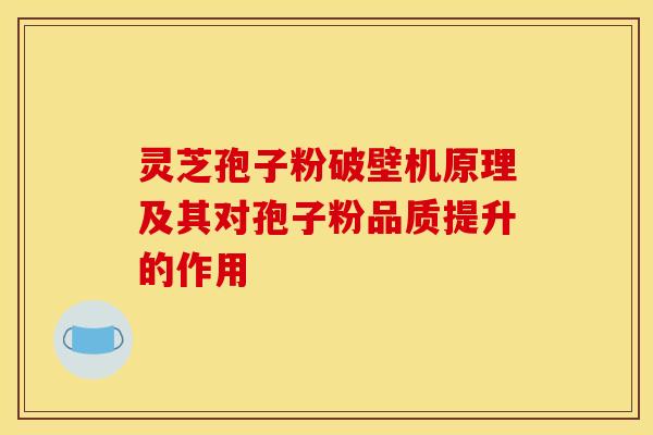 灵芝孢子粉破壁机原理及其对孢子粉品质提升的作用