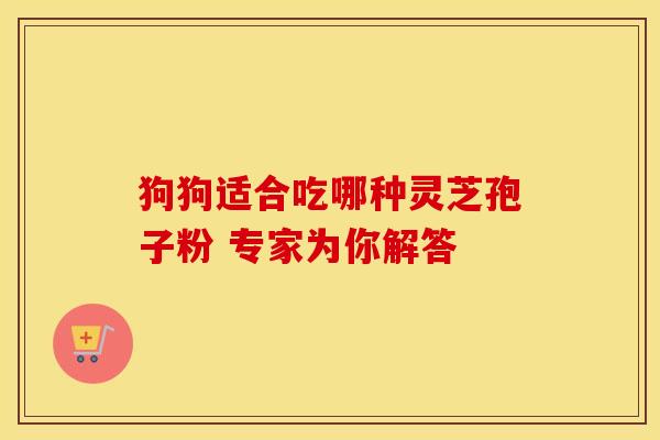 狗狗适合吃哪种灵芝孢子粉 专家为你解答