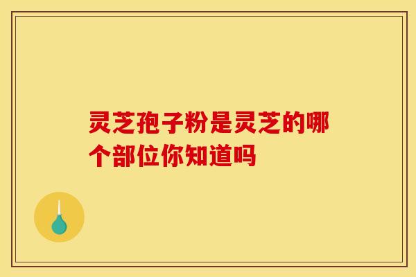 灵芝孢子粉是灵芝的哪个部位你知道吗