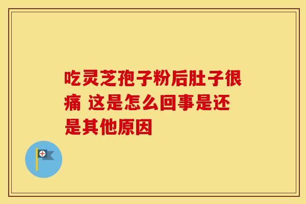 吃灵芝孢子粉后肚子很痛 这是怎么回事是还是其他原因