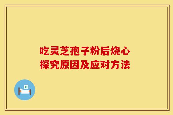 吃灵芝孢子粉后烧心 探究原因及应对方法