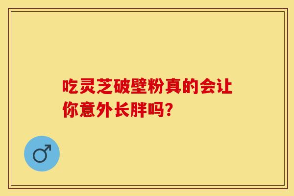 吃灵芝破壁粉真的会让你意外长胖吗？