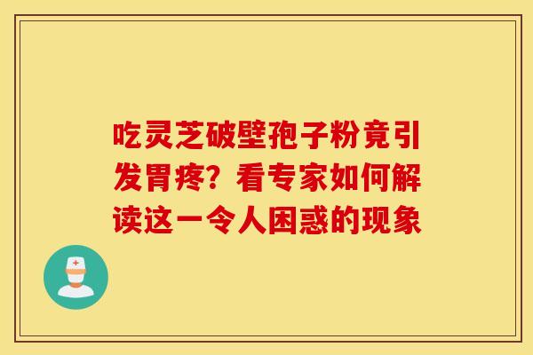 吃灵芝破壁孢子粉竟引发胃疼？看专家如何解读这一令人困惑的现象