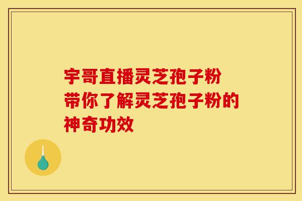 宇哥直播灵芝孢子粉 带你了解灵芝孢子粉的神奇功效