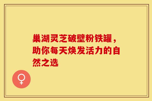巢湖灵芝破壁粉铁罐，助你每天焕发活力的自然之选