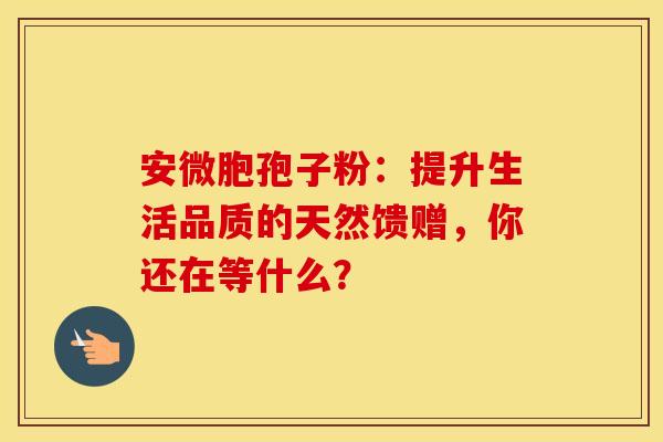 安微胞孢子粉：提升生活品质的天然馈赠，你还在等什么？