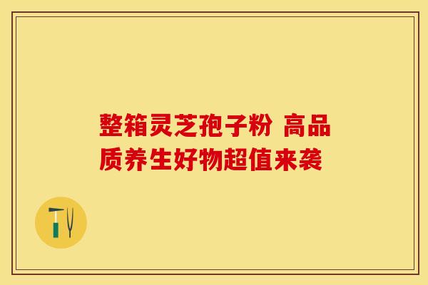 整箱灵芝孢子粉 高品质养生好物超值来袭