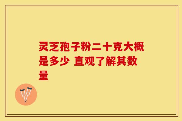 灵芝孢子粉二十克大概是多少 直观了解其数量